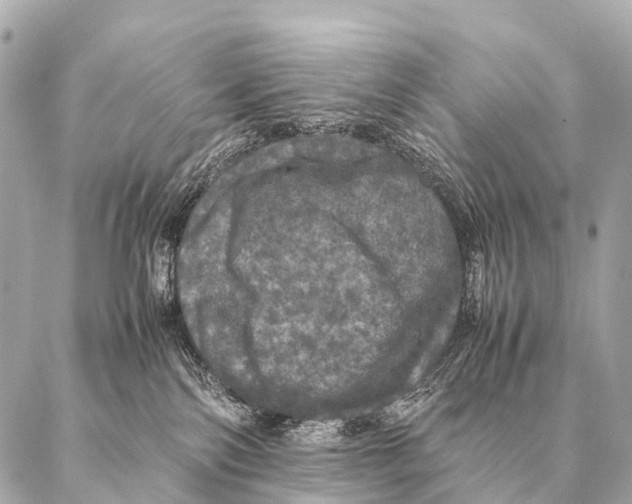 X0000087020138200705141906