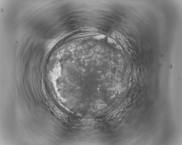 X0000087020145200705141905