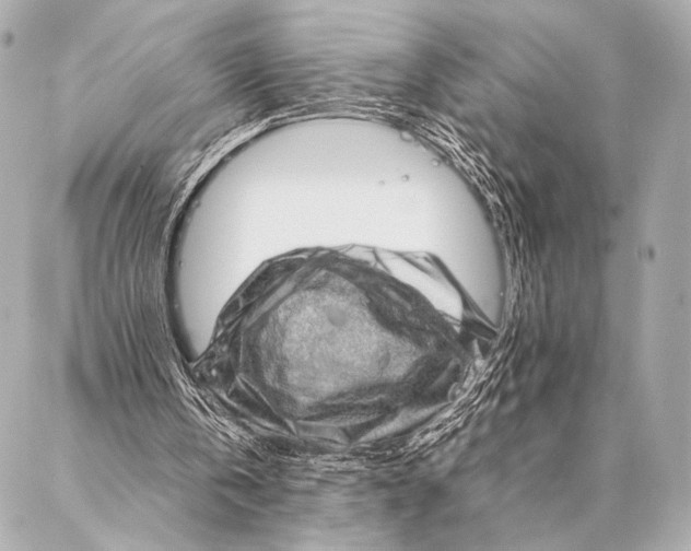 X0000087020146200705141905