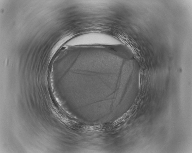 X0000087020147200705141905