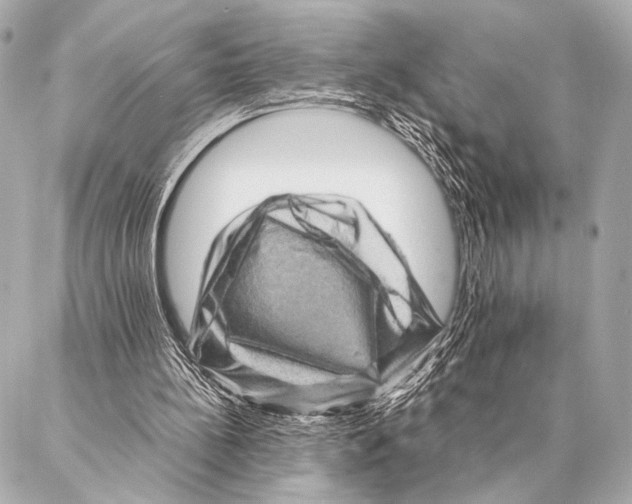 X0000087020148200705141905