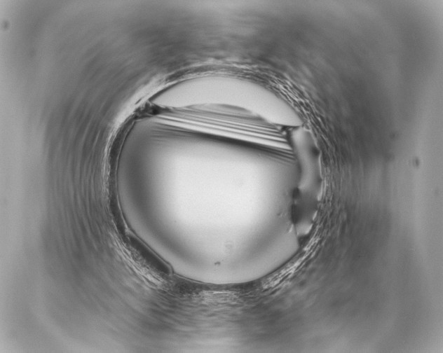 X0000087020150200705141905