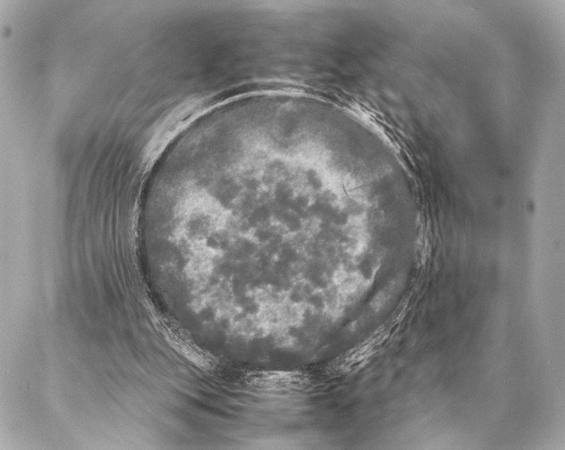 X0000087020151200705141905