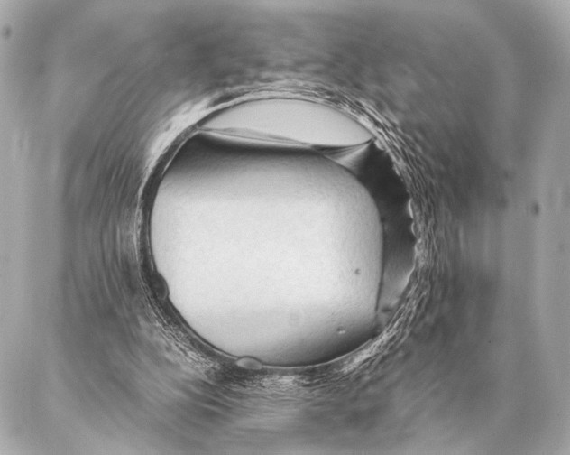 X0000087020152200705141905