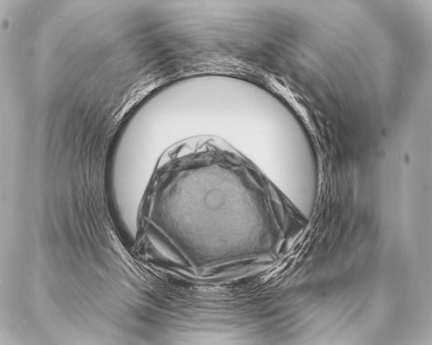 X0000087020154200705141905