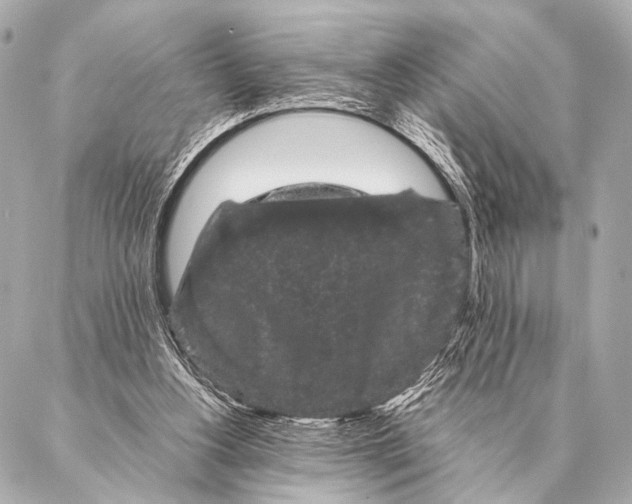 X0000087020156200705141905