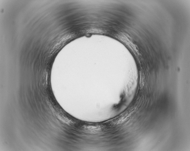 X0000087020157200705141905