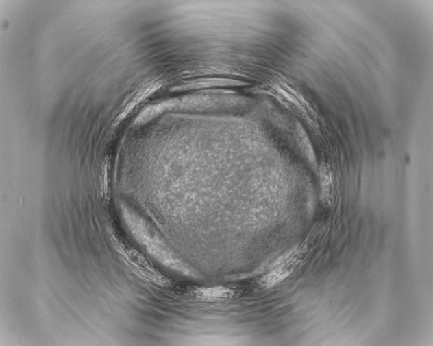 X0000087020158200705141905