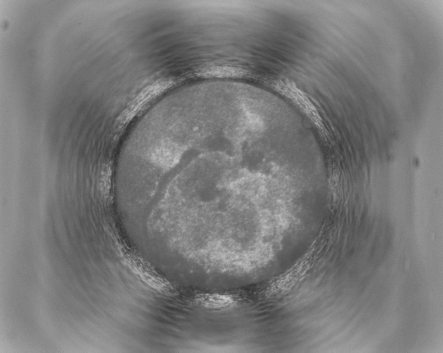 X0000087020159200705141905