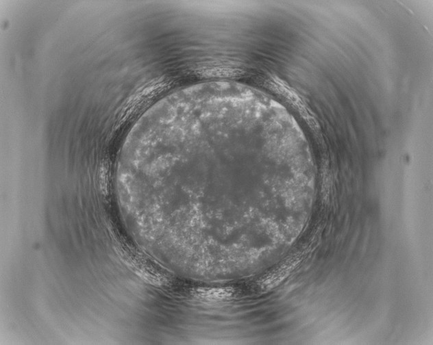 X0000087020161200705141905