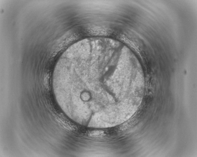 X0000087020162200705141905