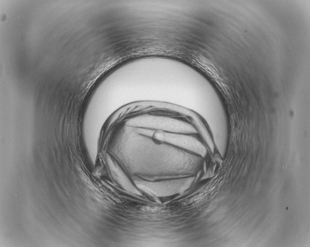 X0000087020164200705141905