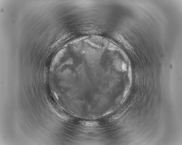 X0000087020165200705141905