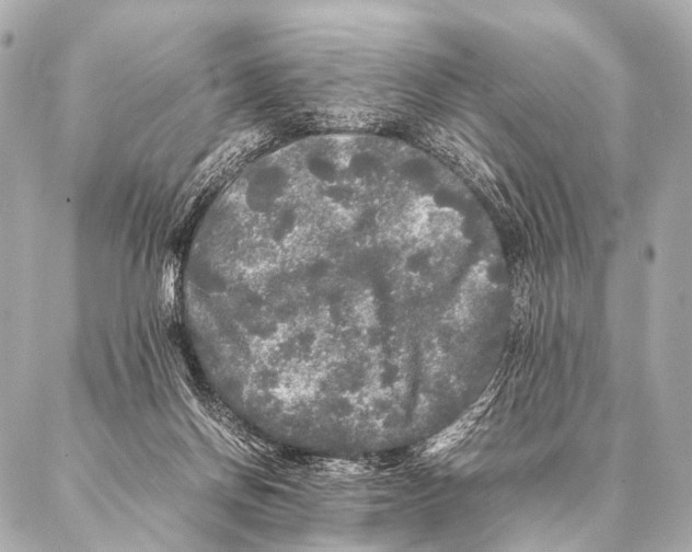 X0000087020166200705141905