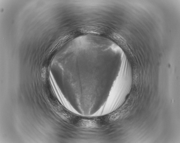 X0000087020167200705141905