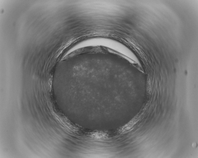 X0000087020168200705141905