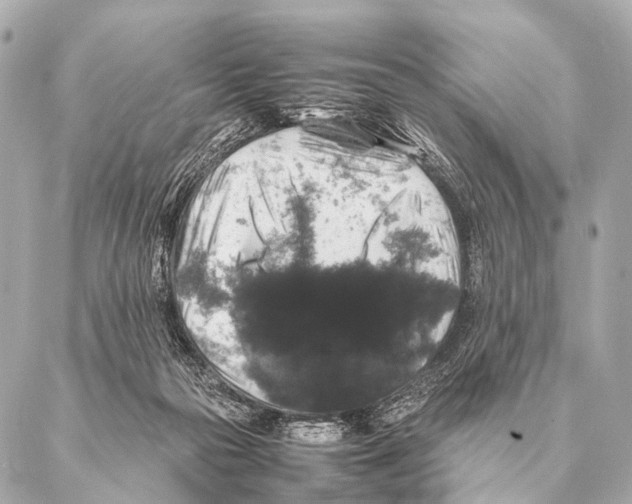 X0000087020169200705141905