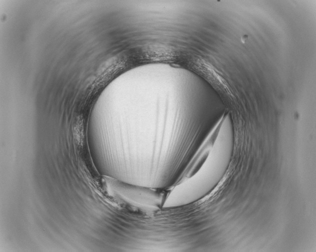 X0000087020170200705141905