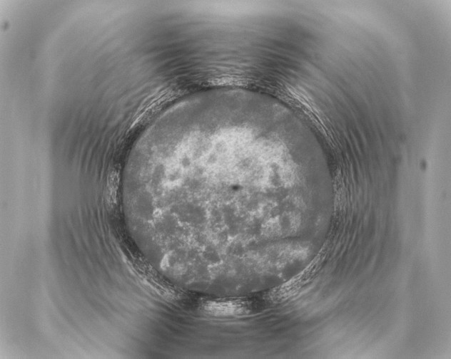 X0000087020171200705141905