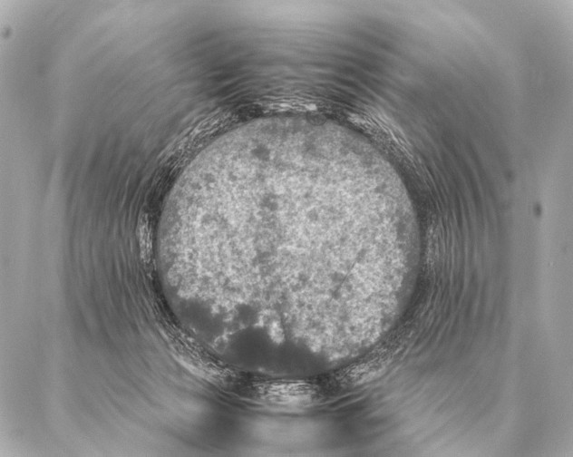 X0000087020173200705141905