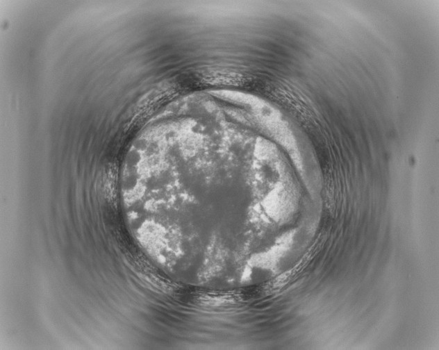 X0000087020175200705141905