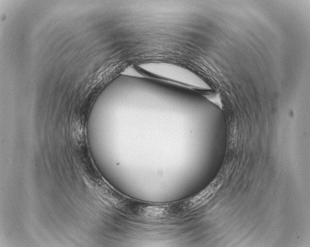 X0000087020176200705141905