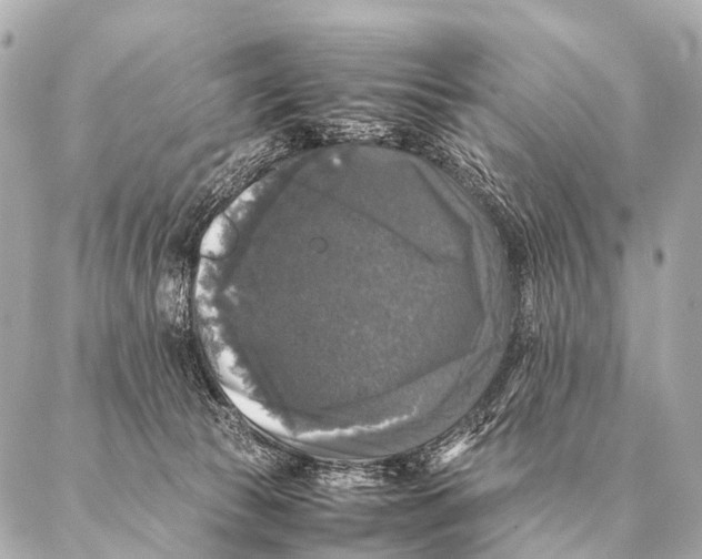 X0000087020177200705141905