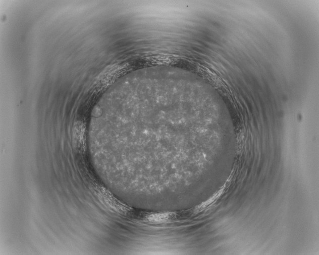 X0000087020178200705141905