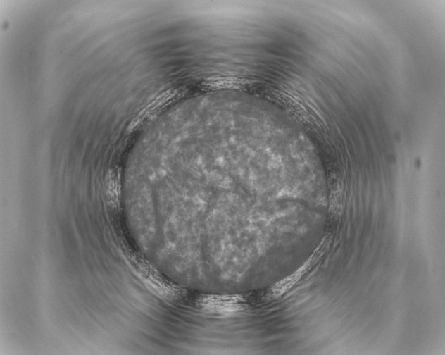 X0000087020179200705141905