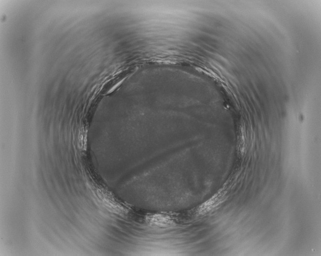 X0000087020180200705141905