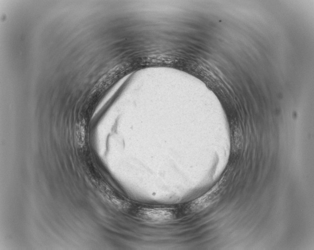 X0000087020183200705141905