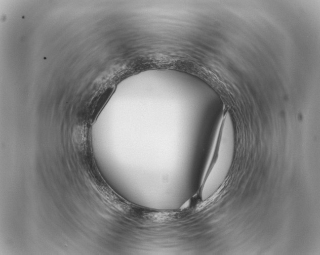 X0000087020184200705141905