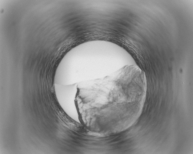 X0000087020185200705141905