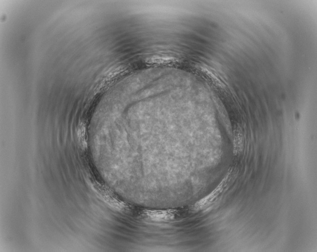 X0000087020187200705141906