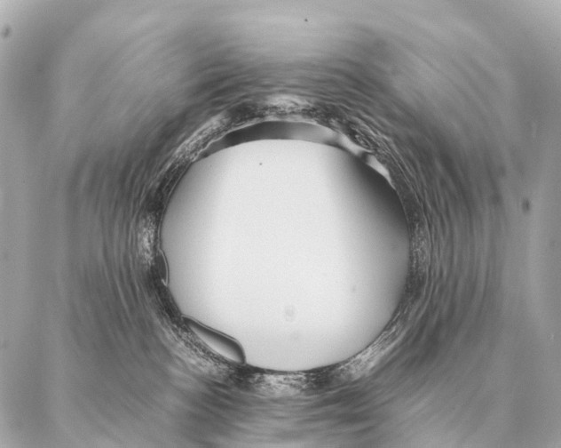 X0000087020188200705141906