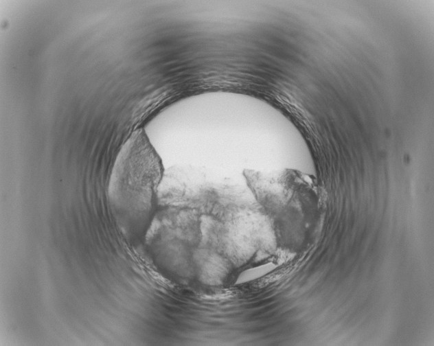 X0000087020189200705141906