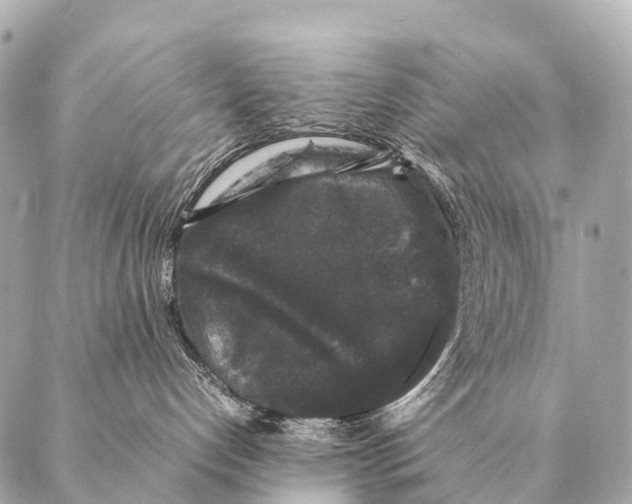 X0000087020192200705141906