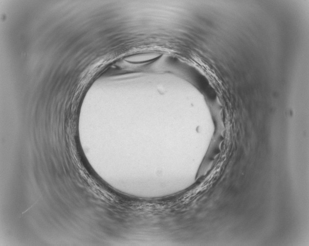 X0000087020193200705141905