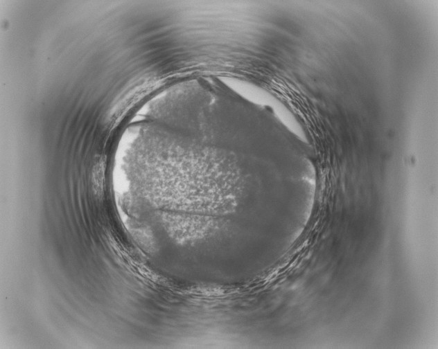 X0000087020194200705141905