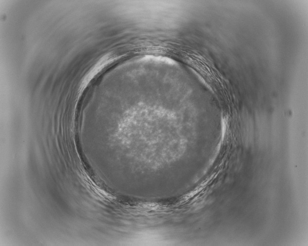 X0000087020195200705141905