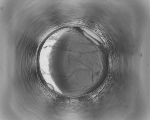 X0000087020196200705141905