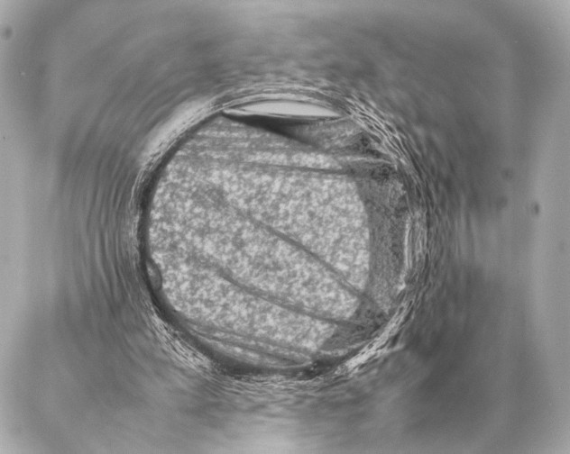 X0000087020197200705141905