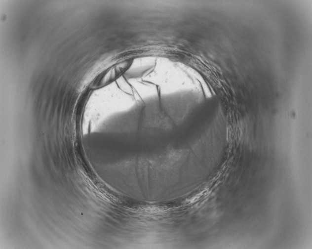 X0000087020198200705141905