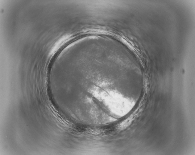 X0000087020199200705141905