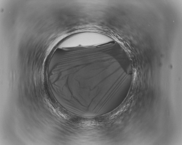 X0000087020200200705141905