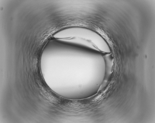 X0000087020201200705141905