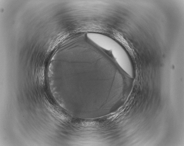 X0000087020202200705141905