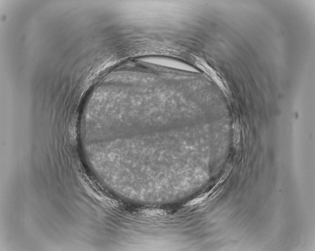 X0000087020203200705141905