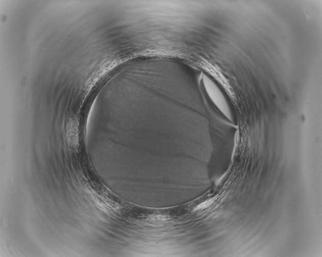 X0000087020204200705141905