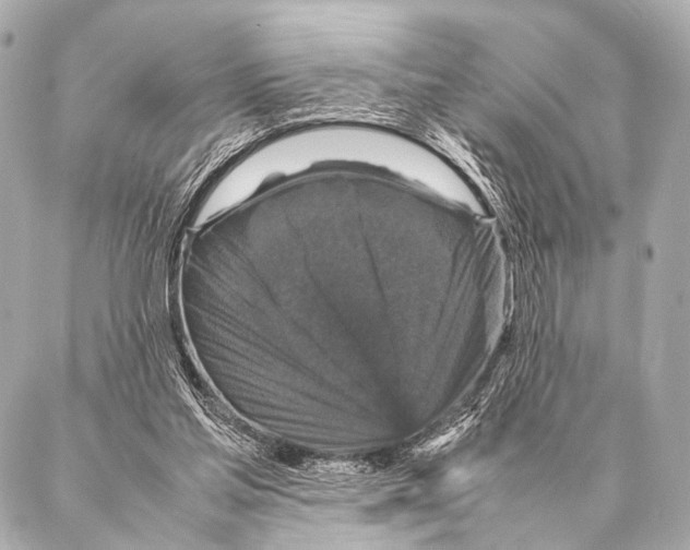 X0000087020205200705141905